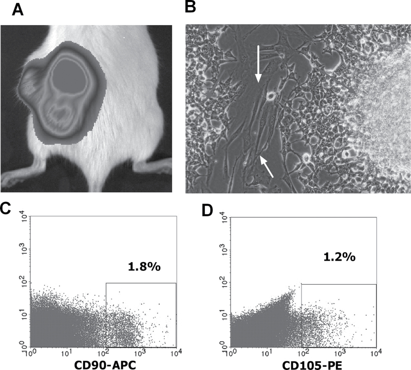 Fig. 3.