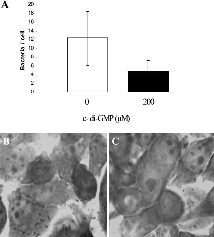 FIG. 7.