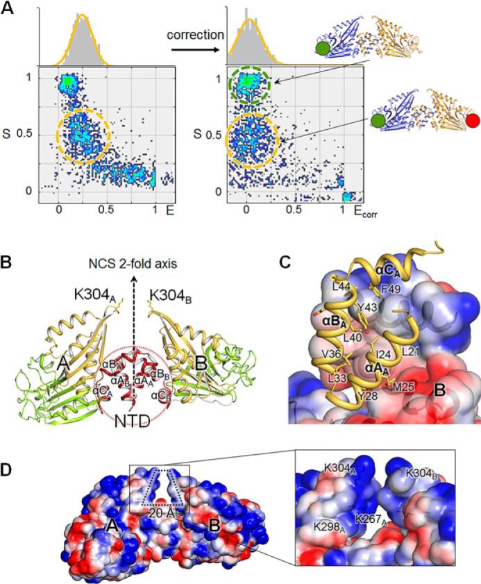 FIGURE 3.