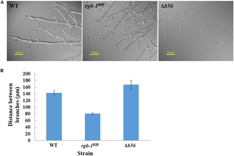 FIGURE 3