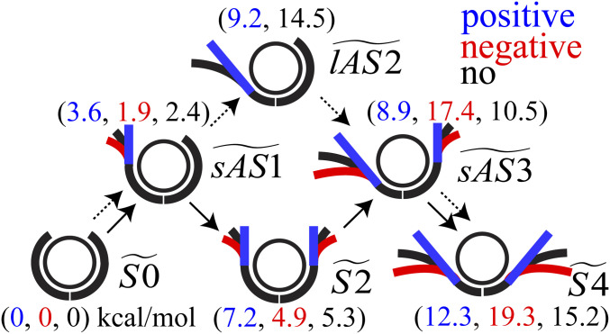 Fig. 5.