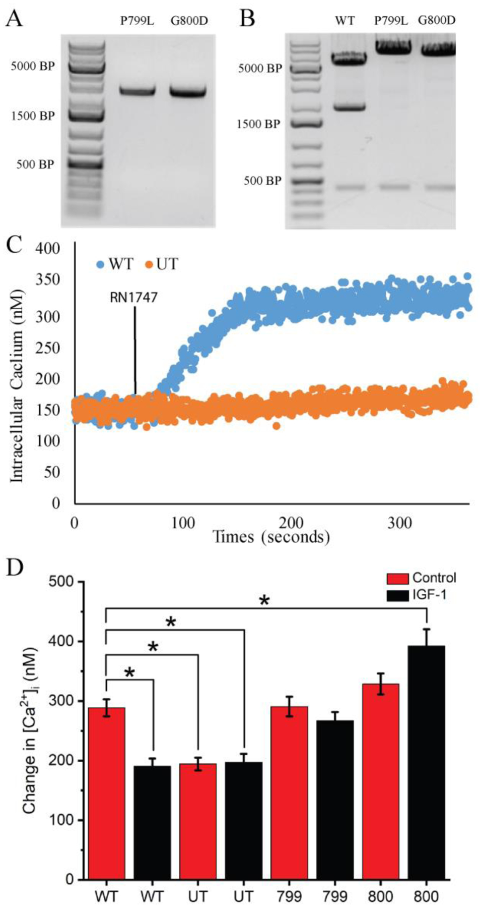 Figure 5: