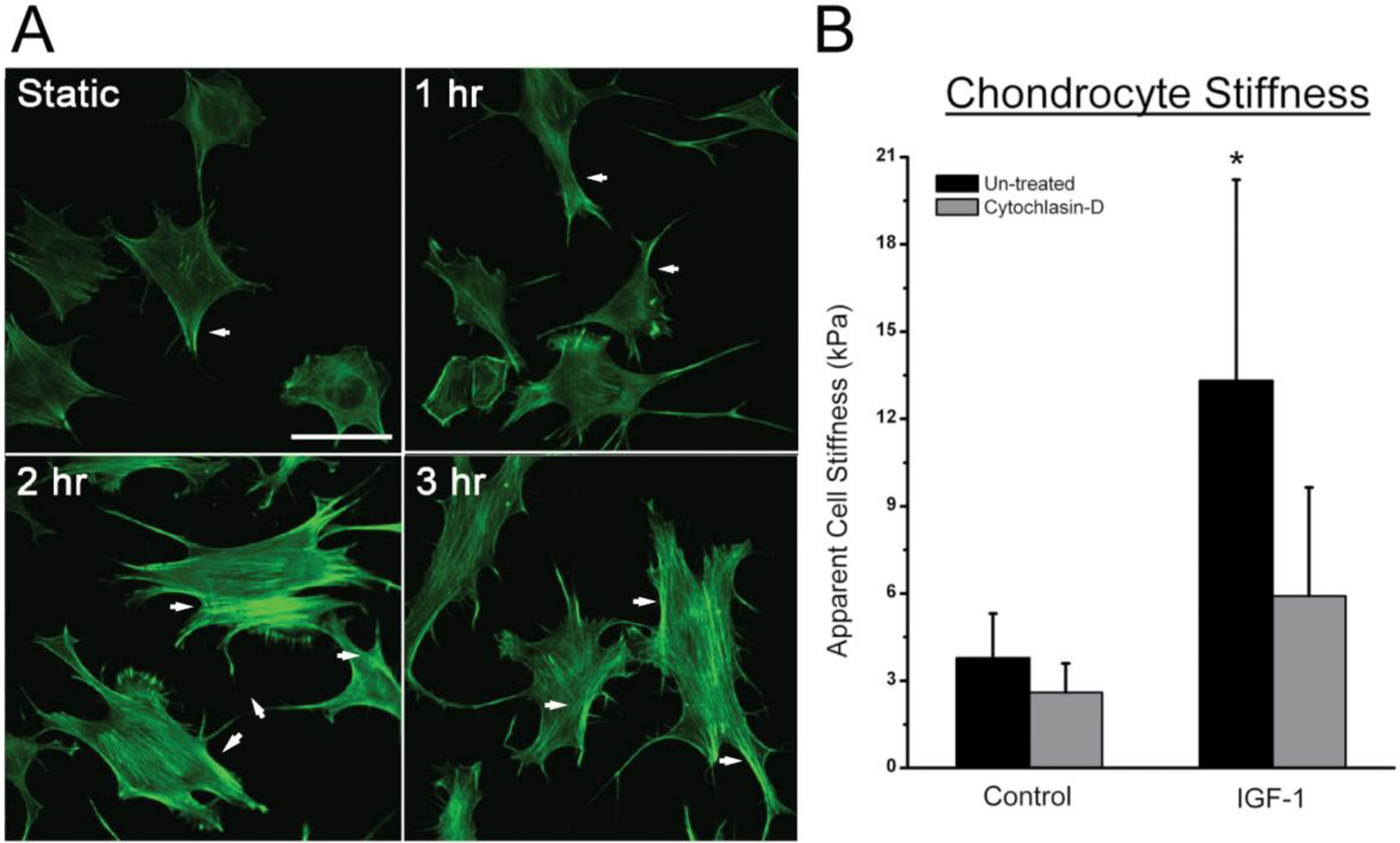 Figure 2: