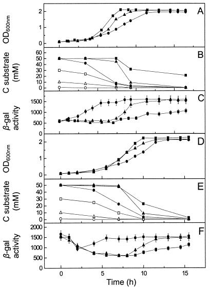 FIG. 5.