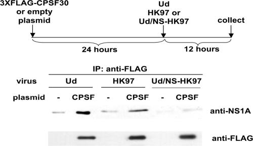 FIG. 8.