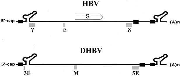 FIG. 8.