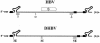 FIG. 8.