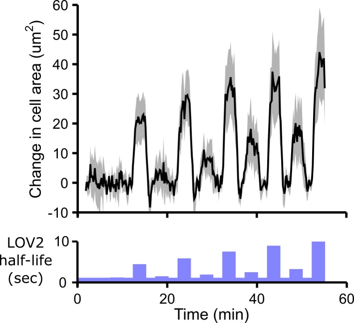 Figure 1—figure supplement 2.