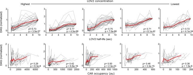 Figure 3—figure supplement 2.