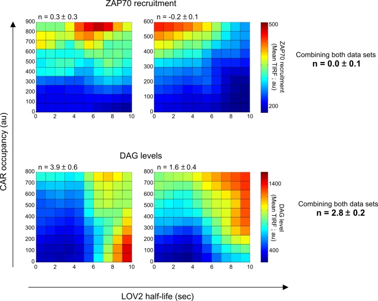 Figure 4—figure supplement 3.