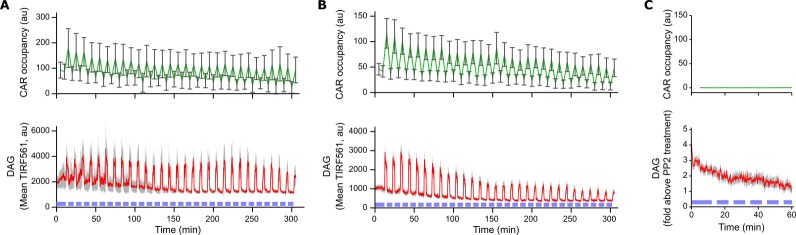 Figure 1—figure supplement 1.