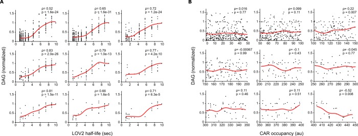 Figure 3—figure supplement 1.