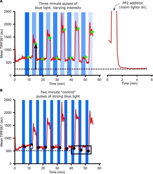 Figure 2—figure supplement 2.