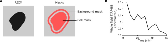 Figure 2—figure supplement 3.