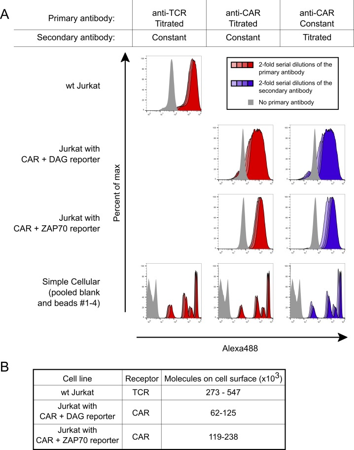 Figure 1—figure supplement 4.