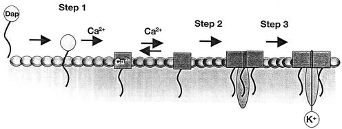 FIG. 7.