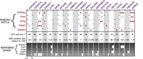 Figure 2.