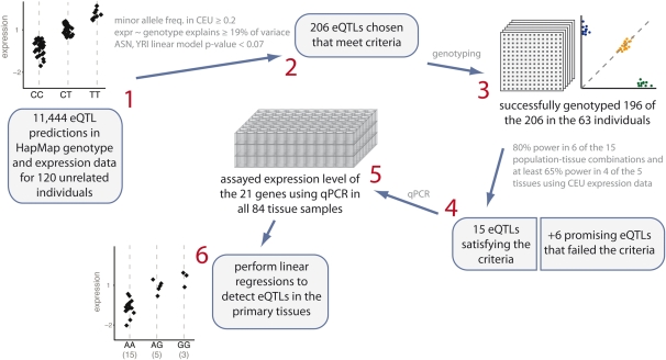 Figure 1.