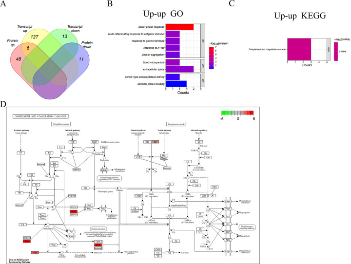 Fig 4