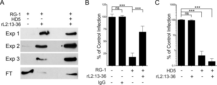 FIG 3