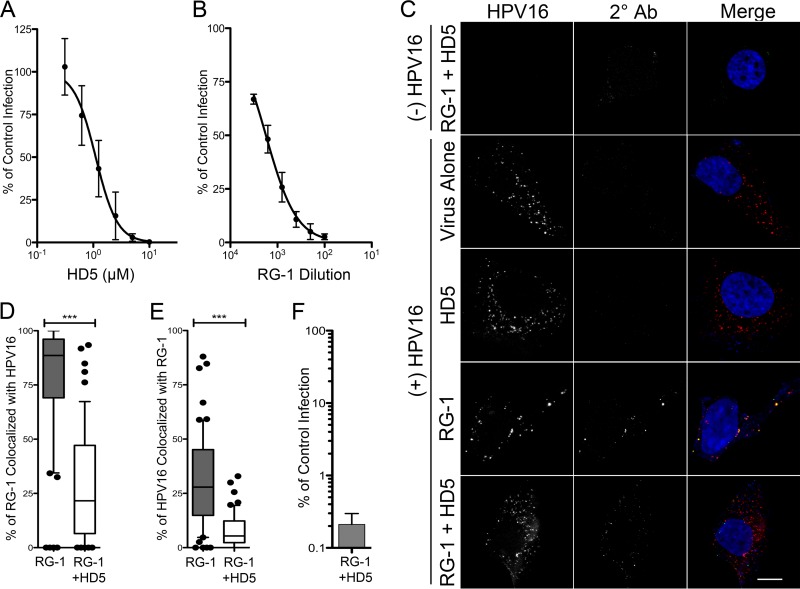 FIG 2