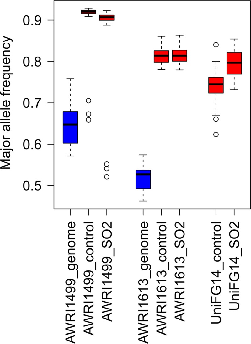 FIG 2