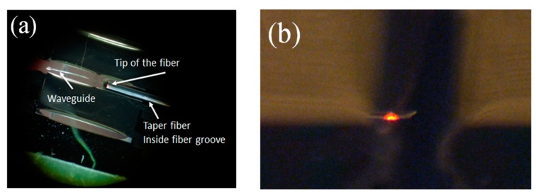 Figure 19