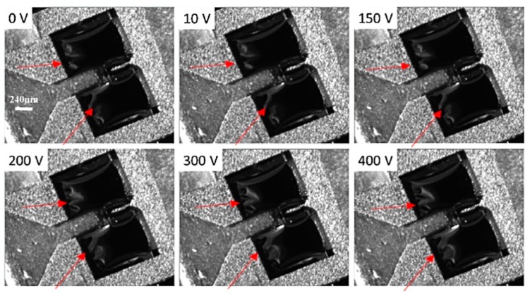 Figure 22