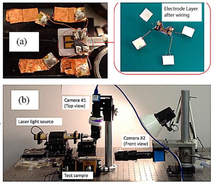 Figure 18