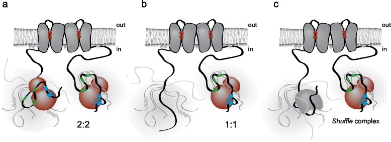 Fig. 7