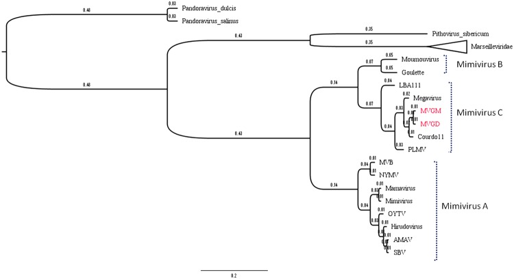 FIGURE 6