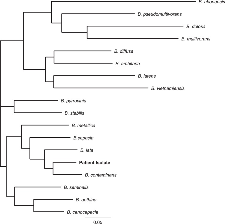 FIG 1