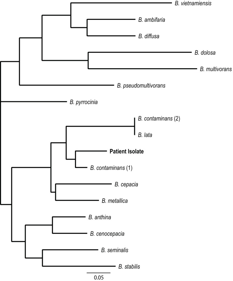 FIG 2