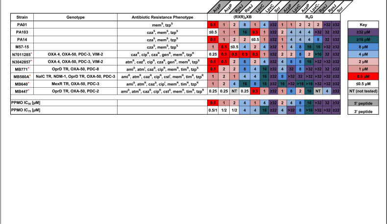 graphic file with name mBio.02411-20-t0001.jpg