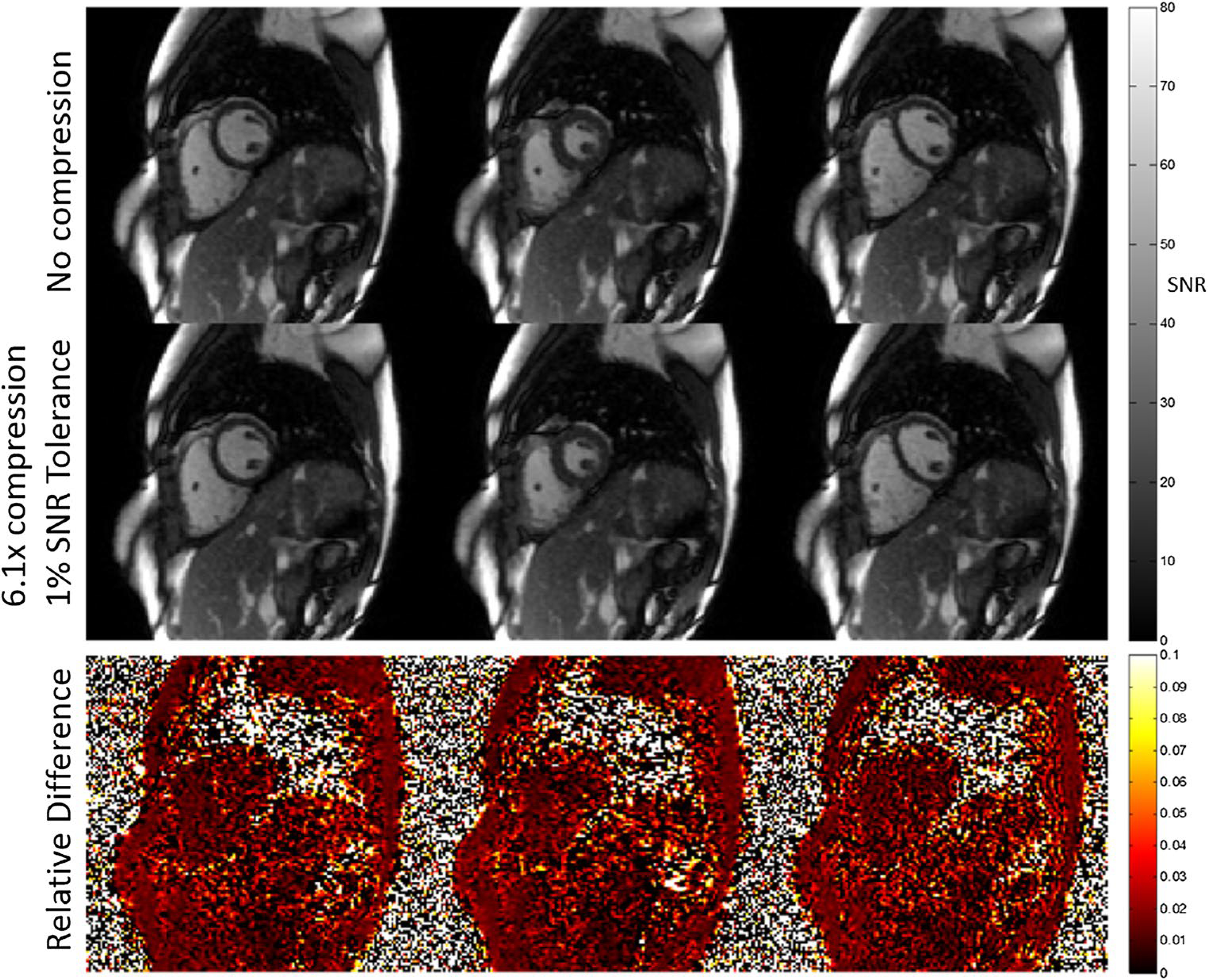 Fig. 9