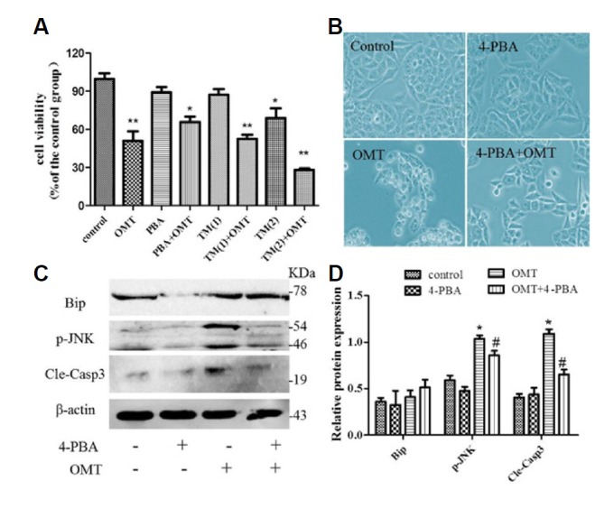 Fig. 9