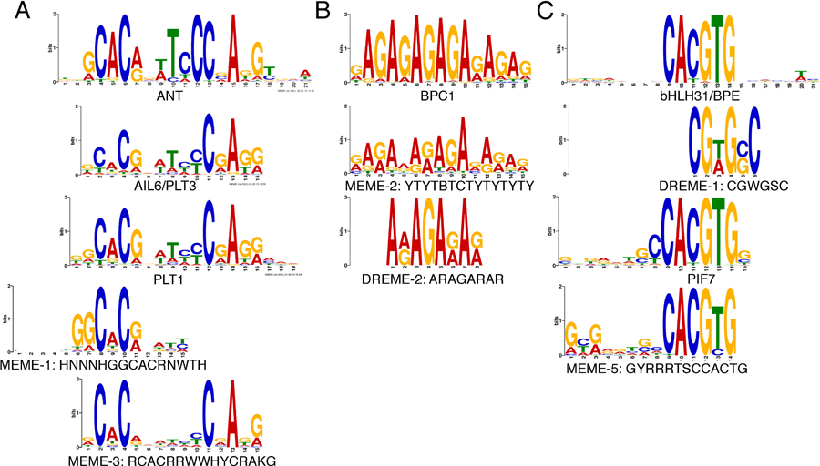 Figure 7.