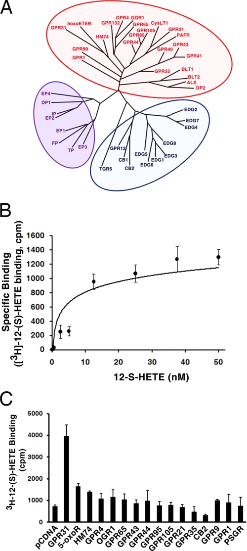 FIGURE 1.