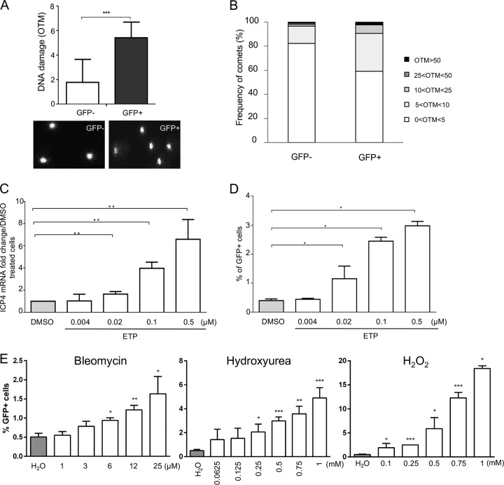 FIG 6