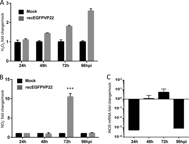 FIG 3