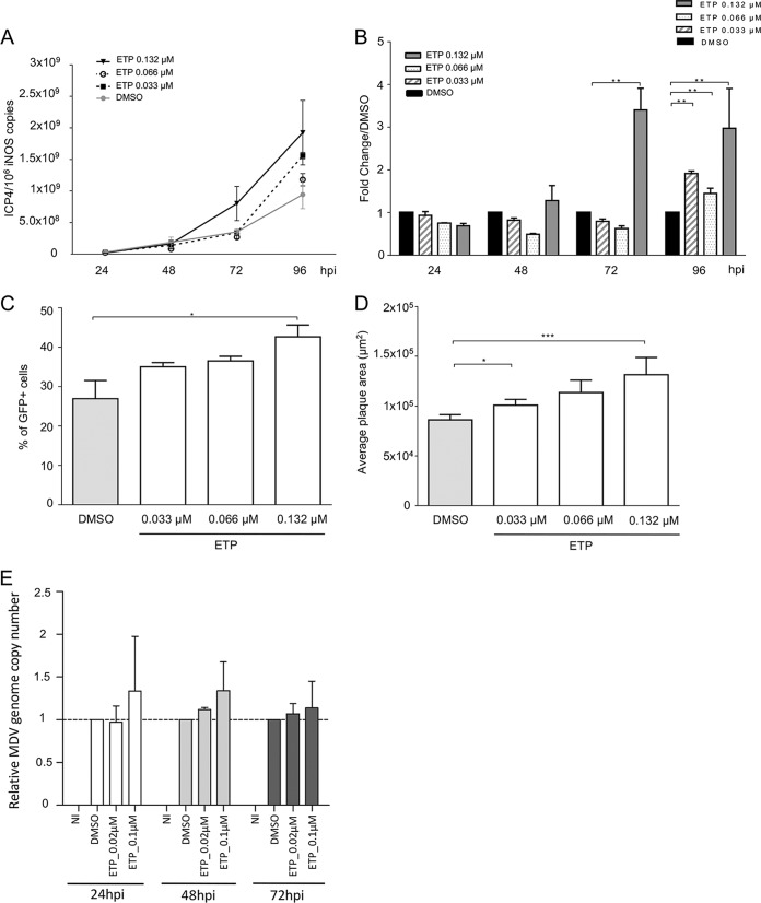 FIG 2