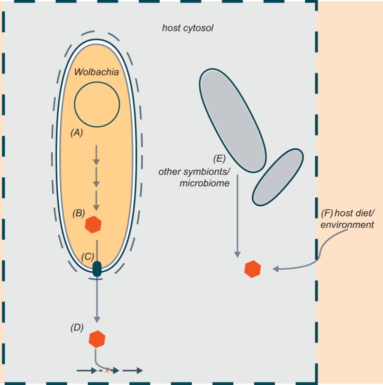 FIG 1