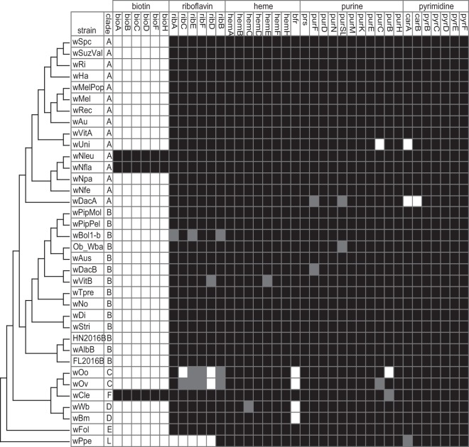 FIG 2