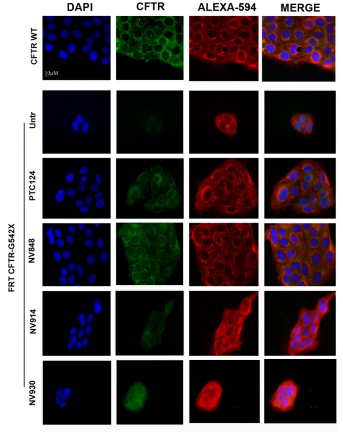 Figure 6