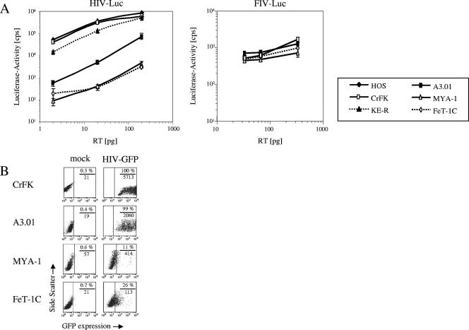 FIG. 1.