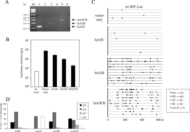 FIG. 6.