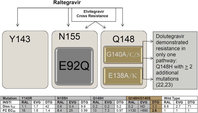 Fig. 1