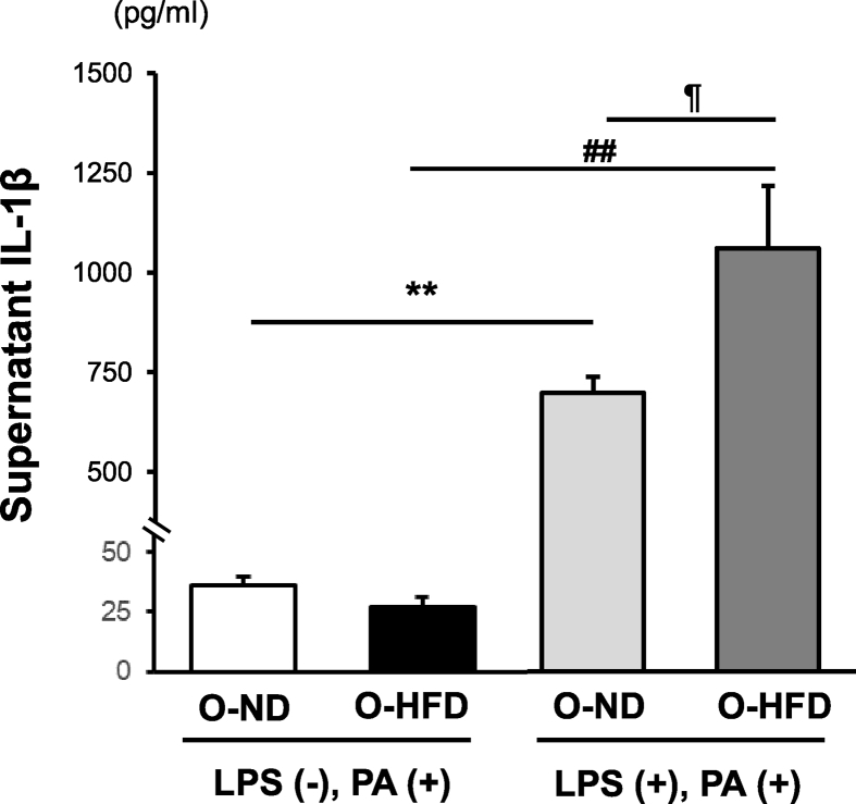 Figure 7