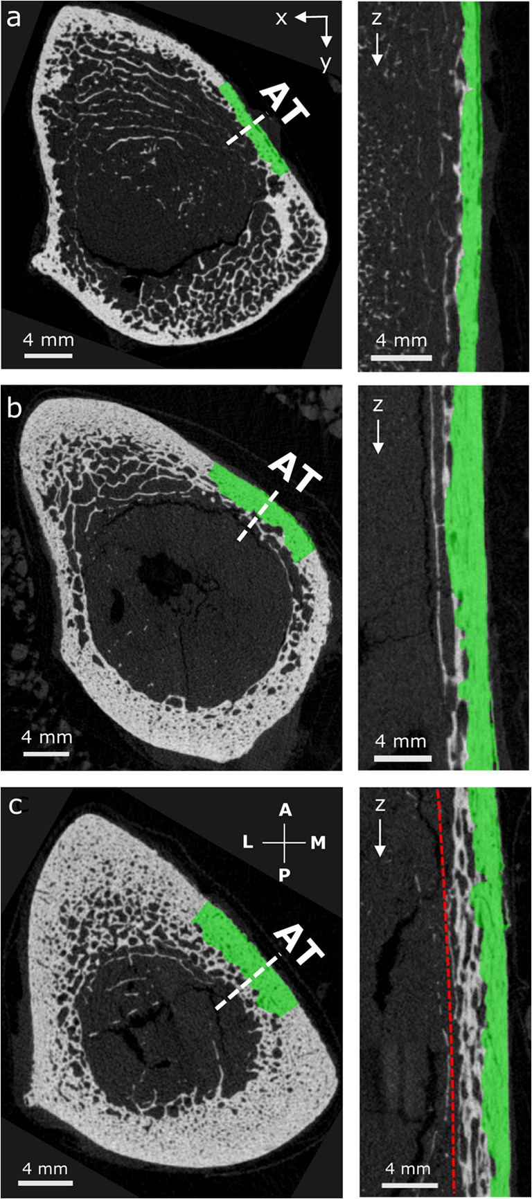 Fig. 5