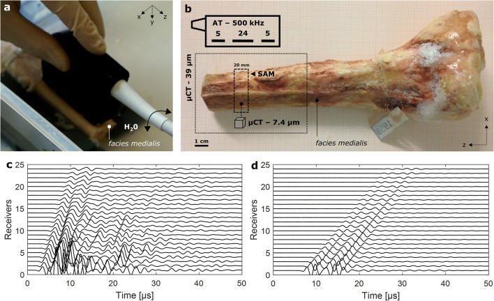 Fig. 1